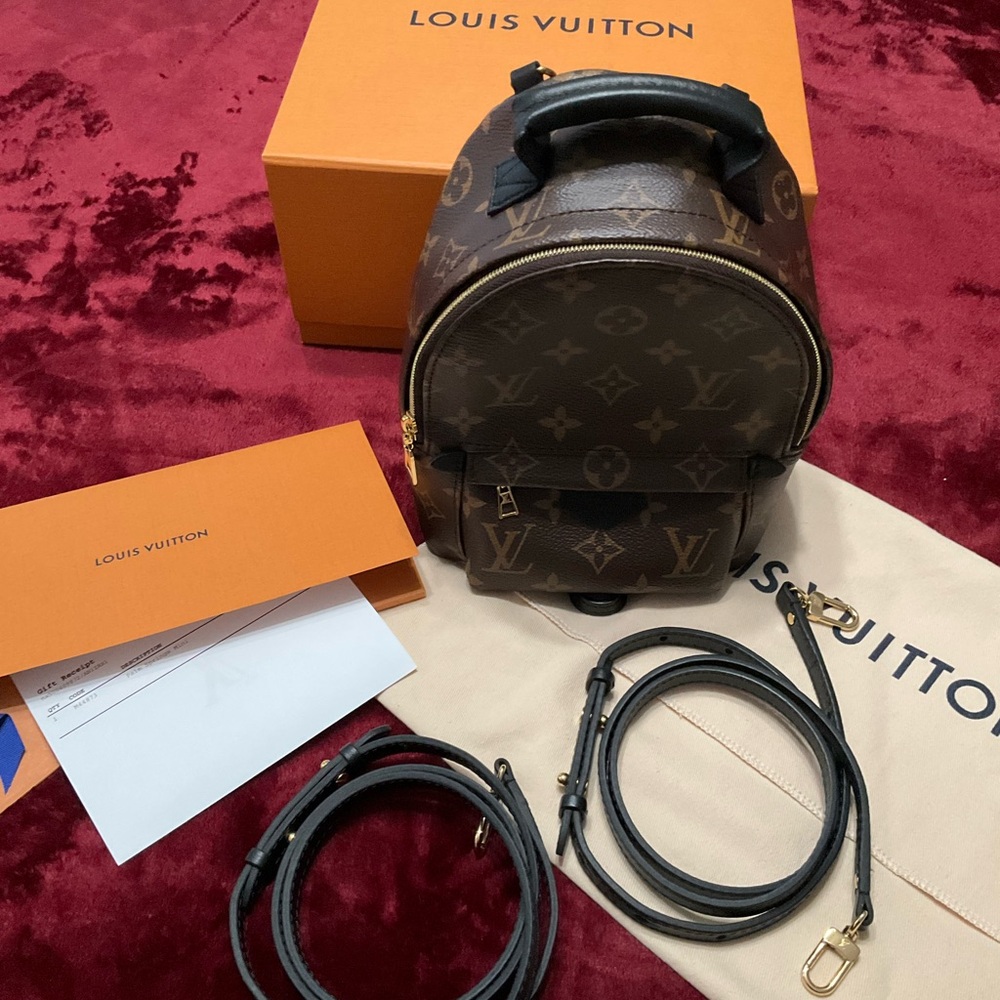 Louis Vuitton Palm Springs Mini backpack